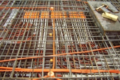 P5020155