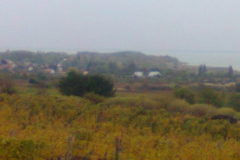 Balaton